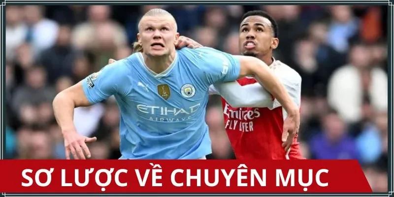 Tổng quan về chuyên mục