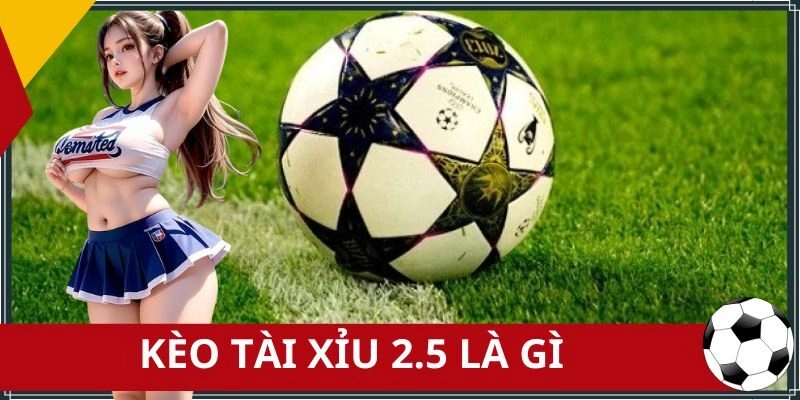 Kèo Tài Xỉu 2.5 Là Gì – Cung Cấp Đầy Đủ Thông Tin Từ A Đến Z