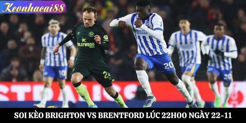 soi kèo Brighton vs Brentford