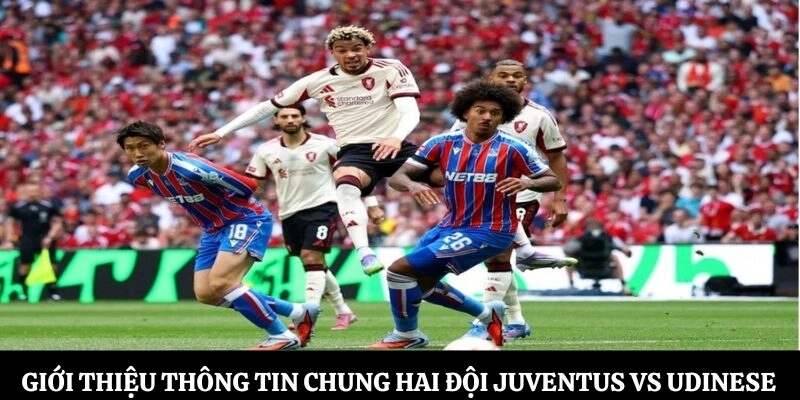 Giới thiệu thông tin chung hai đội Juventus vs Udinese