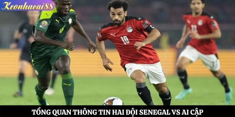 Tổng quan thông tin hai đội Senegal vs Ai Cập